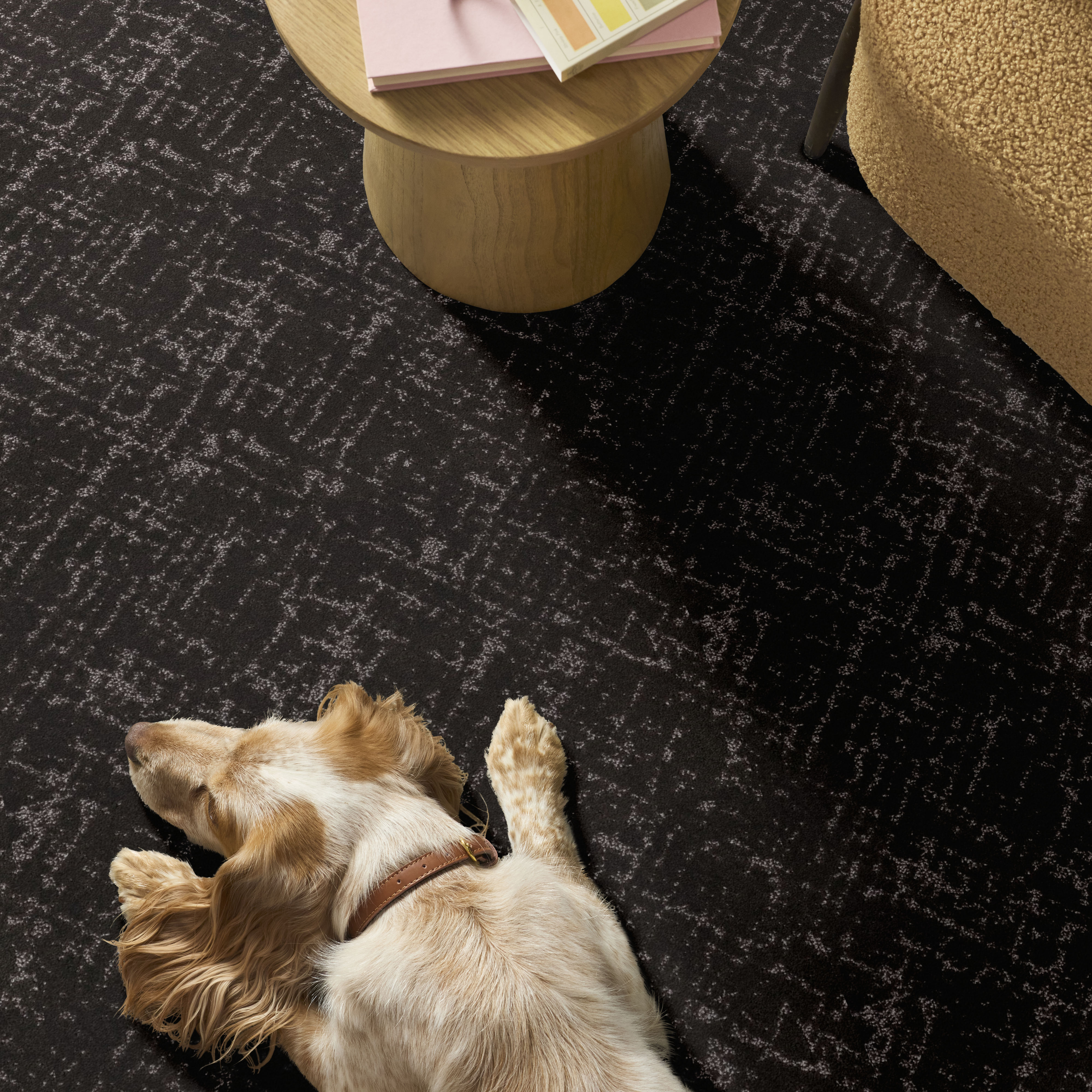 フォーカススリム for Salon Sincere Focus - Bison Carpet | Shaw Floors